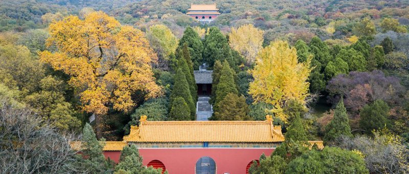 南京一日游：解锁六朝古都的魅力